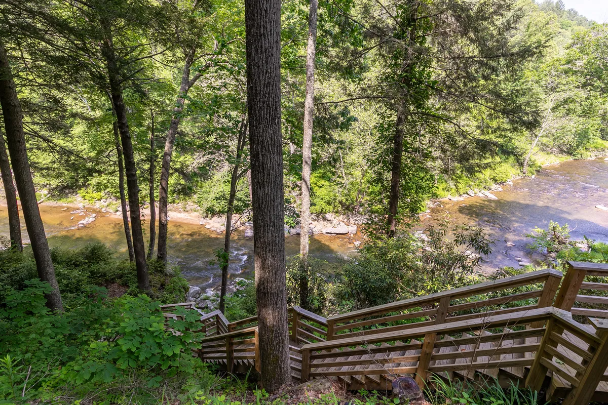 A rustic wooden staircase winds down through lush, green foliage toward the riverbank. The river flows gently below, framed by dense forest. The path invites exploration and promises intimate encounters with the sights and sounds of the river.