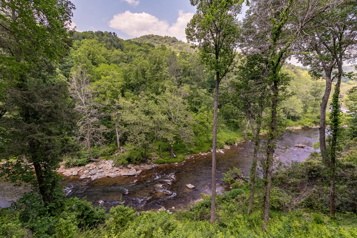 A serene view capturing a gentle river flowing through the woods with a picturesque mountain backdrop. The lush trees lining the banks create a tranquil and natural setting, inviting exploration and outdoor activity.