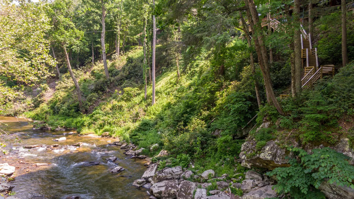 A tranquil riverside scene with lush greenery, a flowing river, a steep hillside, and wooden steps descending toward the water. The natural environment is vibrant, inviting exploration, picnicking, and enjoying the changing beauty of each season.